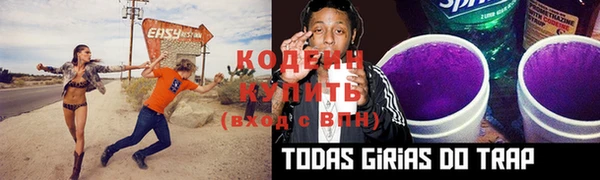 прущие грибы Кострома