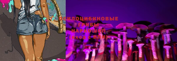 прущие грибы Кострома
