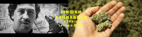 прущие грибы Кострома