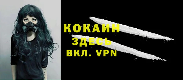 прущие грибы Кострома