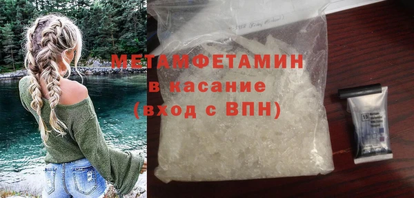 прущие грибы Кострома