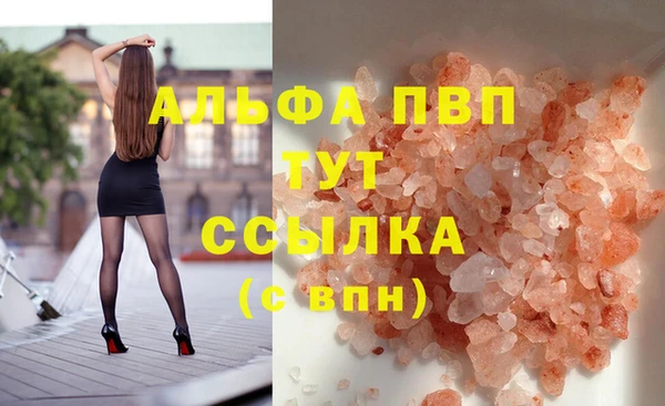 прущие грибы Кострома