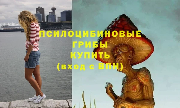 Альфа ПВП Мурманск