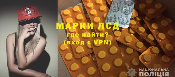 прущие грибы Кострома