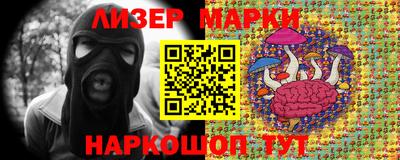 мдпв Гатчина