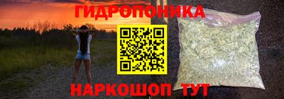 гашик Гай