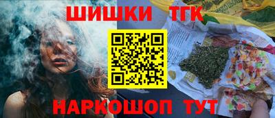 мдпв Гатчина