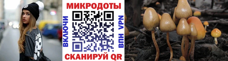 Псилоцибиновые грибы мицелий  Камышин 
