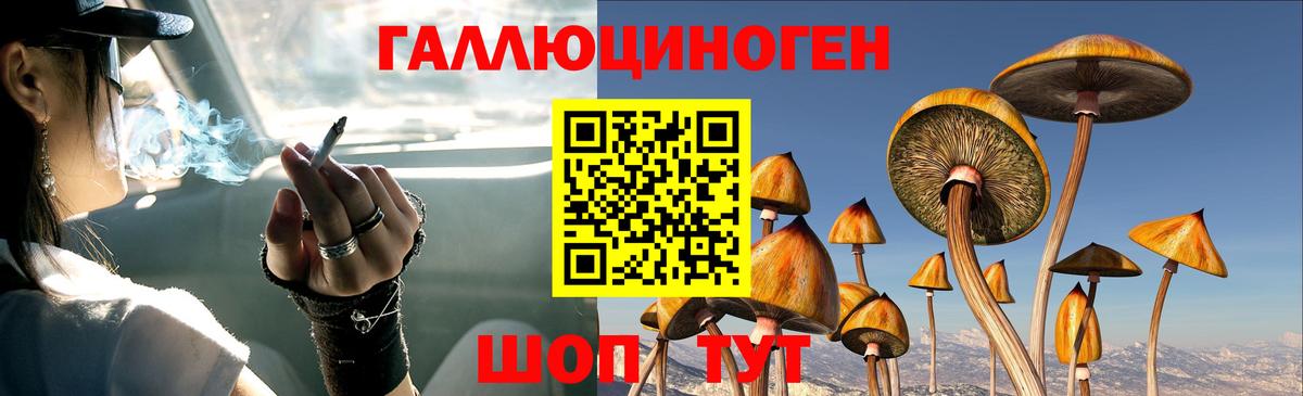 Камышин  Галлюциногенные грибы мицелий  Галлюциногенные грибы мухоморы  Вход с VPN 