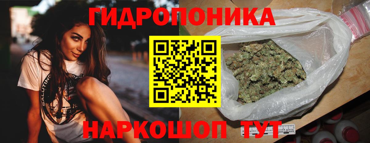 Камышин  Бошки марихуана планчик  Шишки марихуана SATIVA & INDICA  Вход с VPN  Бошки Шишки план 